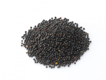 blackrapeseed.png
