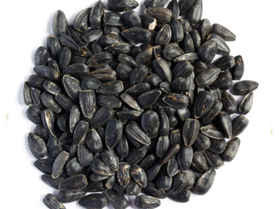 sunflowerseed.jpg